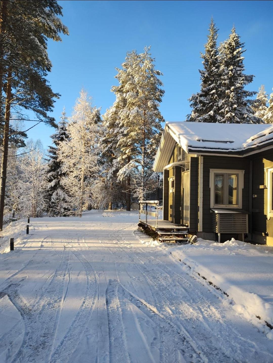 Villa Aleksi With Sauna 로바니에미 외부 사진